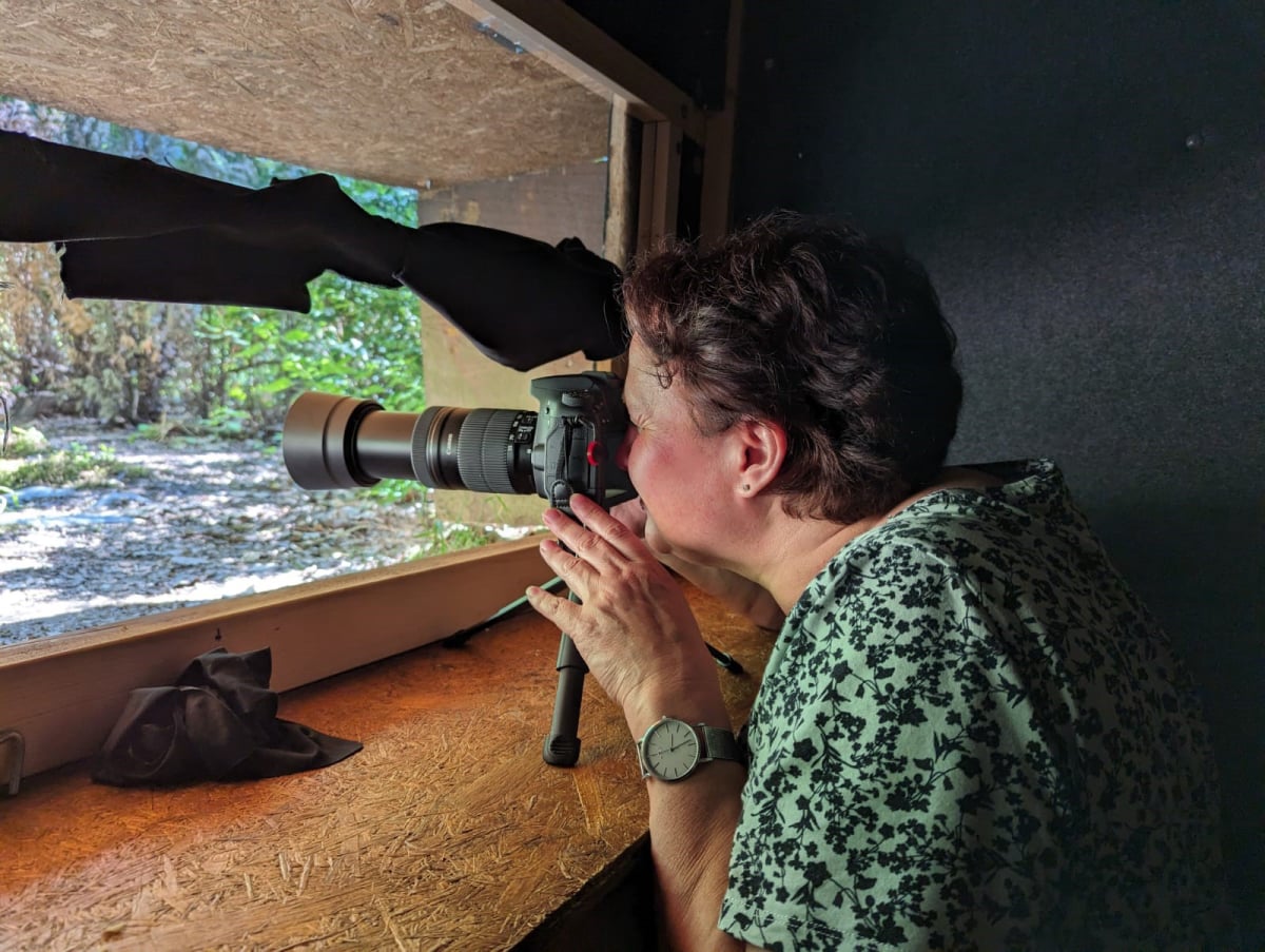 Mobirise Website Builder